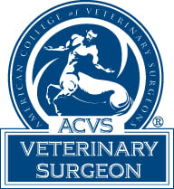 Lacey ACVS Veterinarian Surgeon