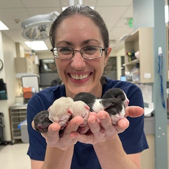 Dr. Naomi Weinberg, Lacey Emergency Veterinarian